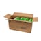 Knorr Knorr Soup Du Jour Chicken With Wild And White Rice Mix 30.2 oz., PK4 84125321 - alternate 3